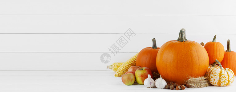 秋收生活与南瓜,小麦耳朵,玉米,大蒜,洋葱苹果木制背景木桌上的秋收图片