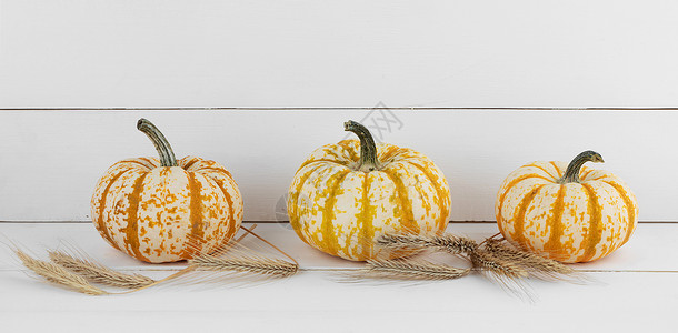 三个橙色南瓜耳朵的小麦白色木制背景,万圣节木制背景上的南瓜图片