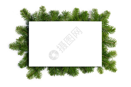自然冷杉圣诞树边框隔离白色,为文本冷杉树枝架白色上图片