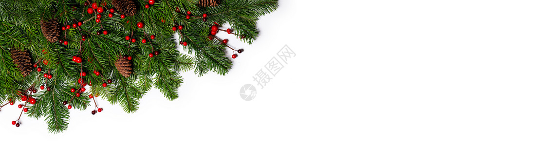 自然冷杉圣诞树边框隔离白色,为文本冷杉树枝架白色上图片
