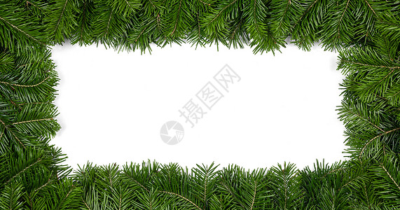 绿色树枝边框自然冷杉圣诞树边框隔离白色,为文本冷杉树枝架白色上背景