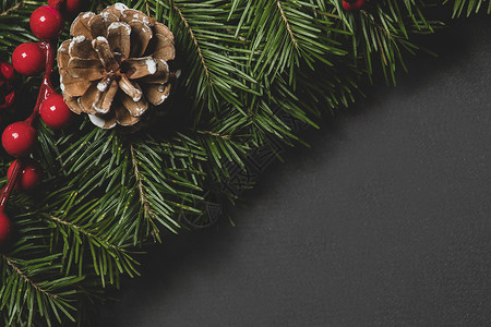 松树圣诞树树枝圆锥形红色浆果黑纸背景平放顶部视图模拟黑纸上的松枝装饰图片
