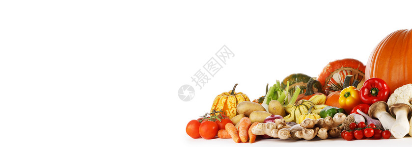 收获许多蔬菜隔离白色背景与的文本白色背景下收获图片