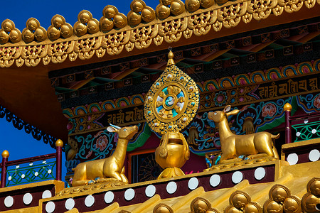 金色奔跑鹿佛教的法轮法轮,法轮,法轮佛教寺院的屋顶上印度希马查尔邦的McleodGanj印度修道院法律的佛教车轮背景