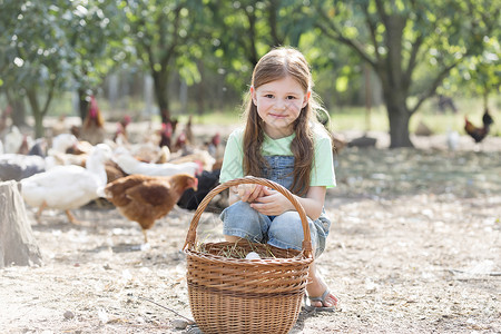 可爱的女孩的肖像,篮子里有鸡蛋,农场里有鸡图片
