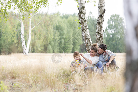 父母女儿坐农田上的树上图片