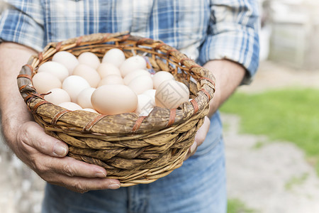 农场的柳条篮子里装着鸡蛋的农民的中段图片