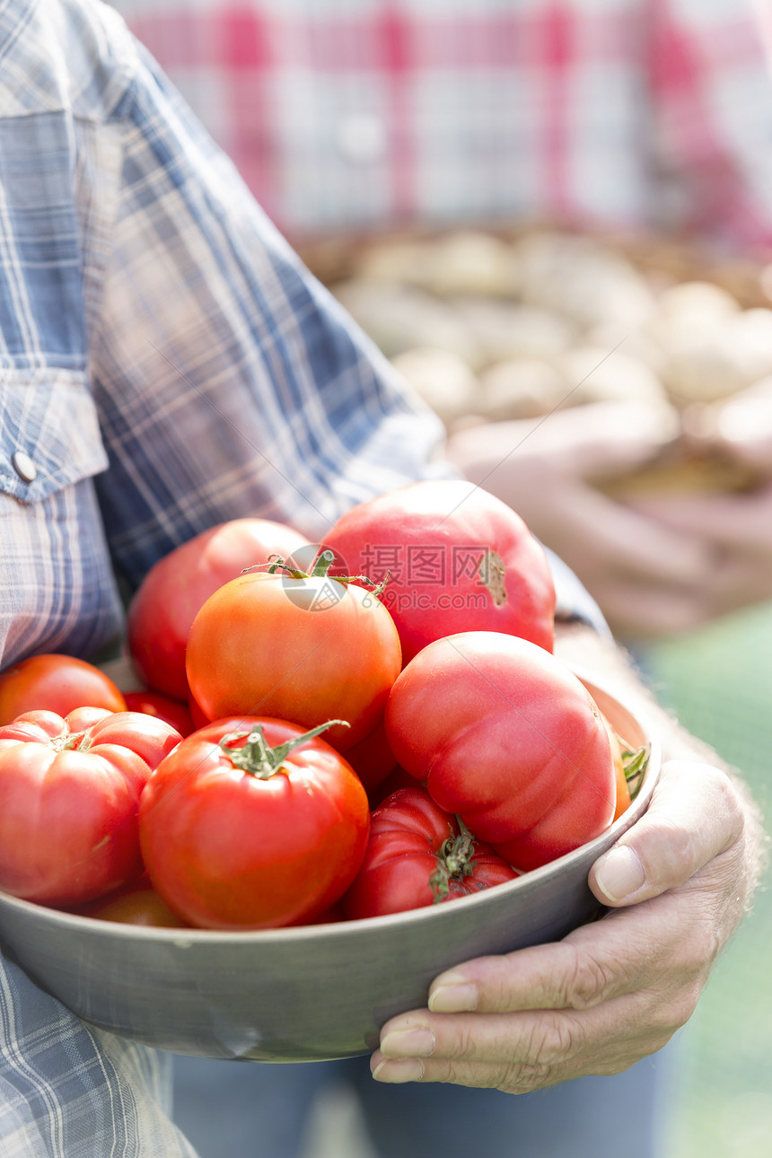 农场里载着西红柿土豆的农民的中段图片