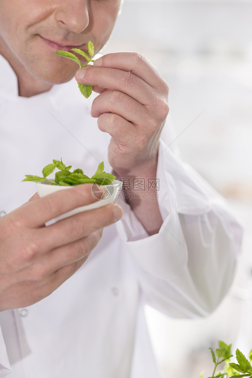 成熟厨师的中段餐厅的厨房里闻到药草叶子图片