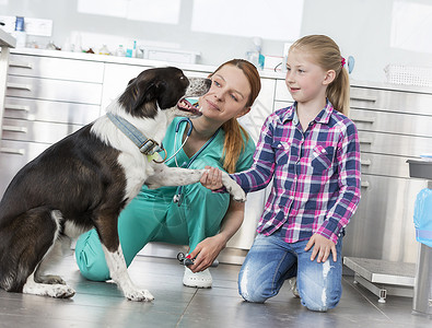 年轻的兽医女孩跪诊所里看狗图片
