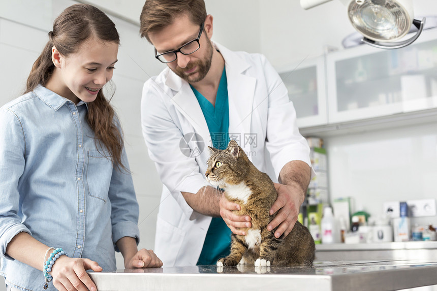 医生女孩看着兽医诊所桌子上的猫图片