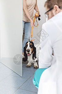 有狗的女人进入兽医诊所高清图片