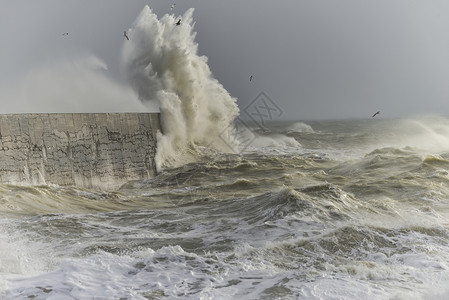风暴海英国海岸纽黑文的大风风暴中,惊人的海浪拍打着港口的墙壁背景