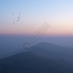 东莞大岭山美丽的冬季日出景观形象的大岭英国的高峰地区,鸟类山峰周围飞翔背景