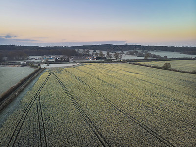 美丽的无人机空中景观图像恩格斯乡村日出春天油菜籽油菜籽田背景图片