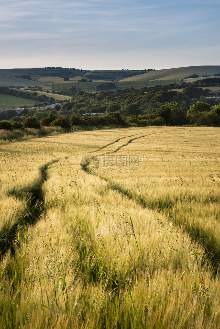 柔的日落光线下,英国农村农田美丽的夏季景观图片
