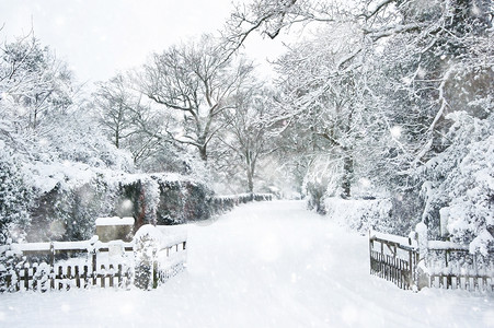 雪冬景观乡村场景与英国乡村大雪风暴中图片