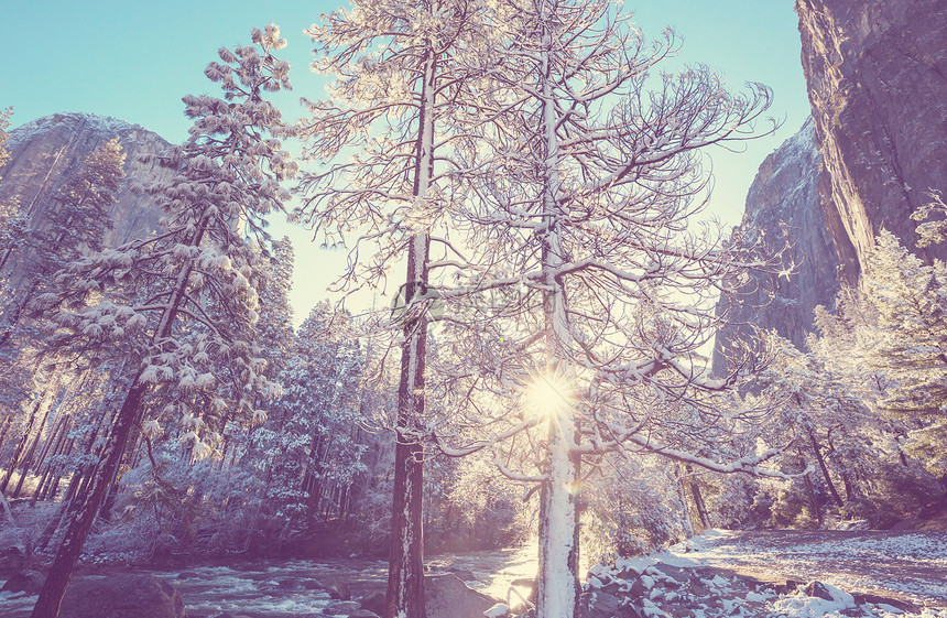 美国加利福尼亚州约塞米蒂公园的冬季图片