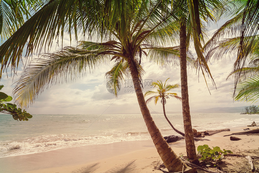 热带海滩上的宁静图片