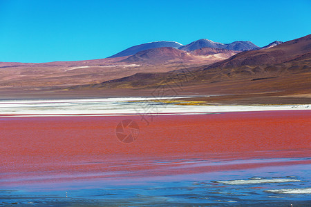南美洲的超现实景观玻利维亚高原高原高原上五颜六色的拉古纳色拉达图片