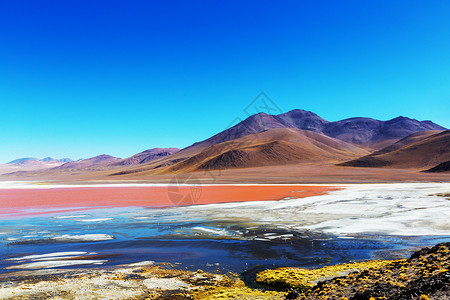 阿塔卡玛南美洲的超现实景观玻利维亚高原高原高原上五颜六色的拉古纳色拉达背景
