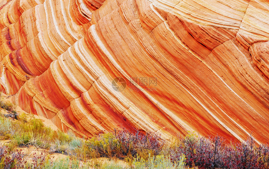 美国犹他州的砂岩地层美丽的寻常的风景活珊瑚颜调图片