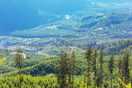 加大山区绿色森林丘陵图片