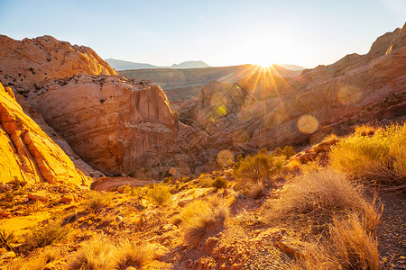沙漠珊瑚美国犹他州的砂岩地层美丽的寻常的风景活珊瑚颜调背景