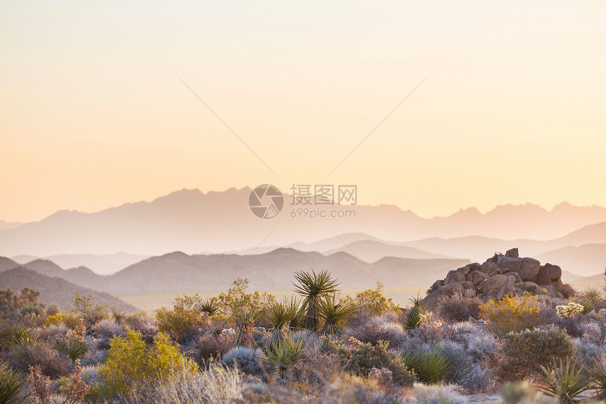 亚利桑那州沙漠景观日出,美国图片