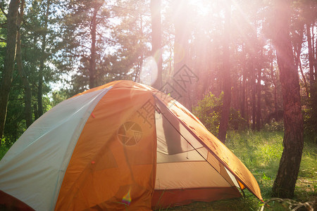 悬挂绿色森林树木的现代旅游帐篷图片