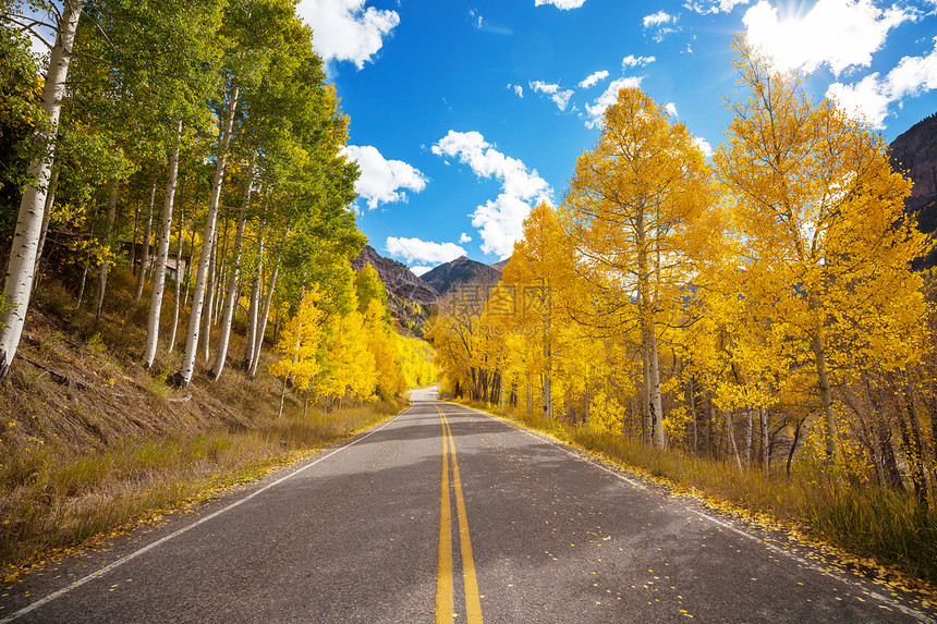 阳光明媚的早晨,乡间道路上五彩缤纷的秋天景象图片