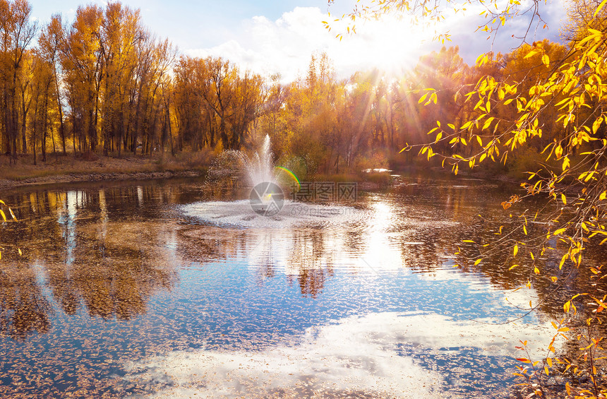 美丽的秋天公园里的喷泉图片