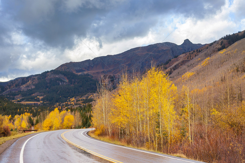 阳光明媚的早晨,乡间道路上五彩缤纷的秋天景象图片