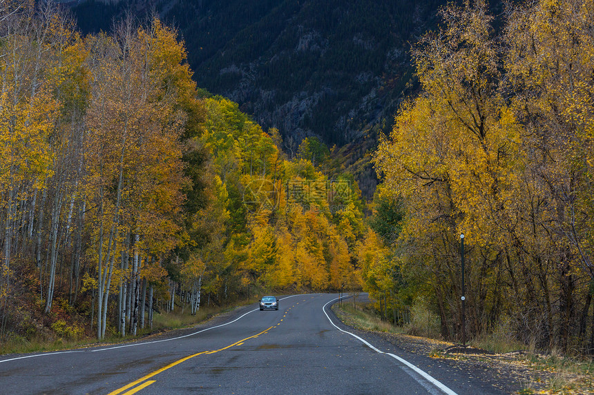 森林里乡间道路上五彩缤纷的秋天景象图片