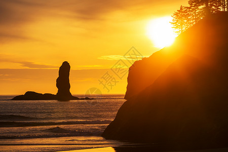 风景优美的太平洋海岸奥林匹克公园图片