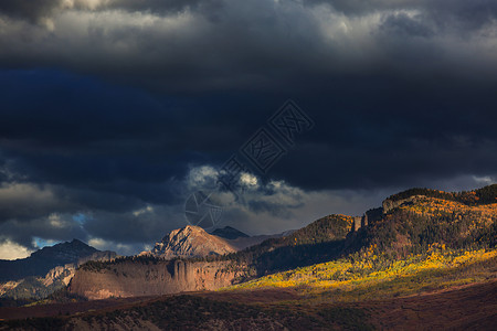 美国科罗拉多州五颜六色的黄色秋天秋天的季节高清图片
