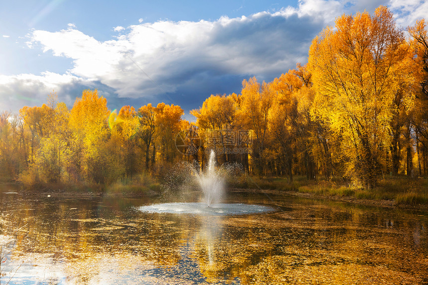美丽的秋天公园里的喷泉图片