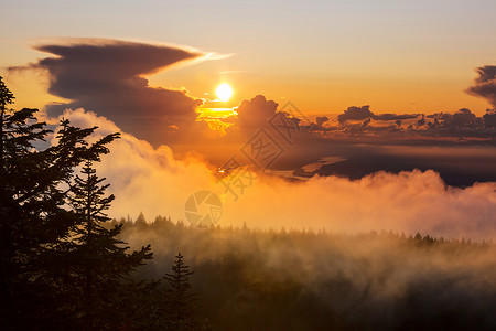 秋天森林上方的日落景象图片