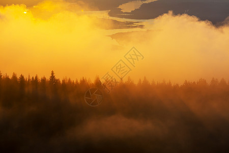 秋天森林上方的日落景象图片