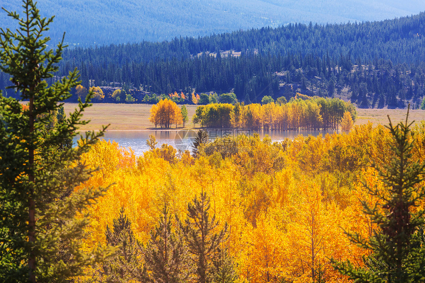 加大山区美丽的秋天季节秋天的背景图片