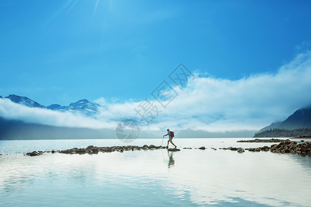 波迪吉太平洋流行的高清图片