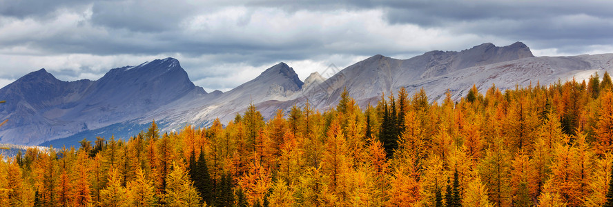加拿大山里美丽的秋天风景背景图片