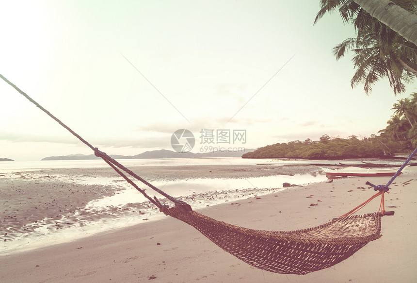 热带天堂海滩棕榈树传统的编吊床图片