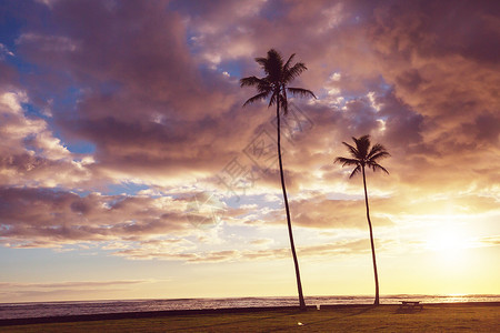 神奇的夏威夷海滩美妙的日落美丽的假日背景背景图片