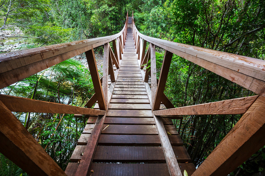 智利绿色丛林中的桥图片
