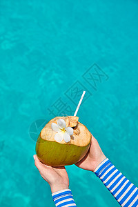 惹人喜爱鸡蛋花椰子绿松石的海洋上马尔代夫的暑假背景