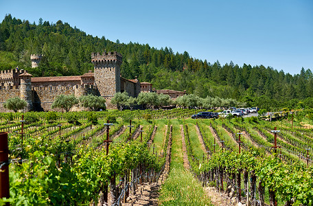 葡萄城堡葡萄园与城堡加利福尼亚,美国背景
