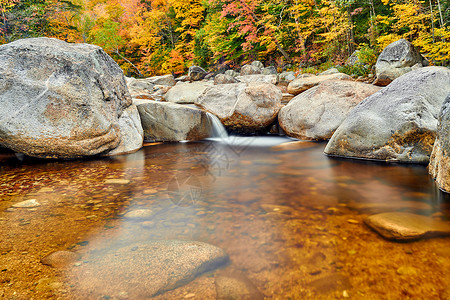 斯威夫特河瀑布秋天的白山森林,新罕布什尔州,美国落新英格兰背景