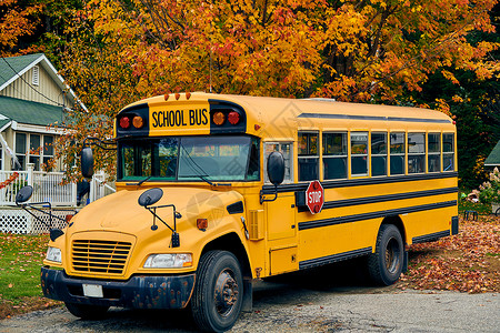 美国缅因州秋季车道上的校车高清图片