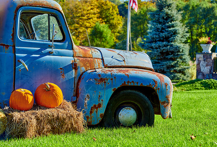 南瓜补丁农场里的新鲜南瓜离很旧的卡车很近美国康涅狄格州农村景观图片